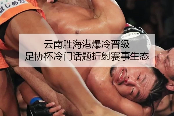 云南胜海港爆冷晋级 足协杯冷门话题折射赛事生态